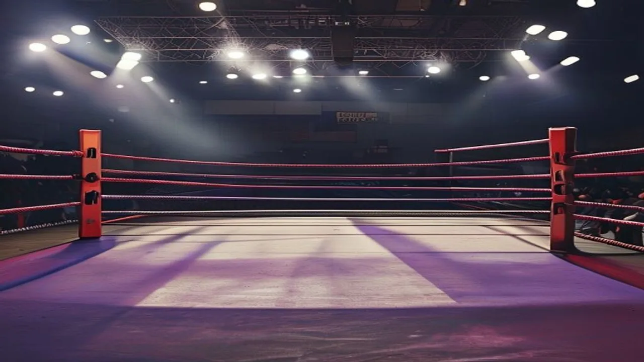 国会前デモに着想のボクシング興行、判定不服はリング前座り込み