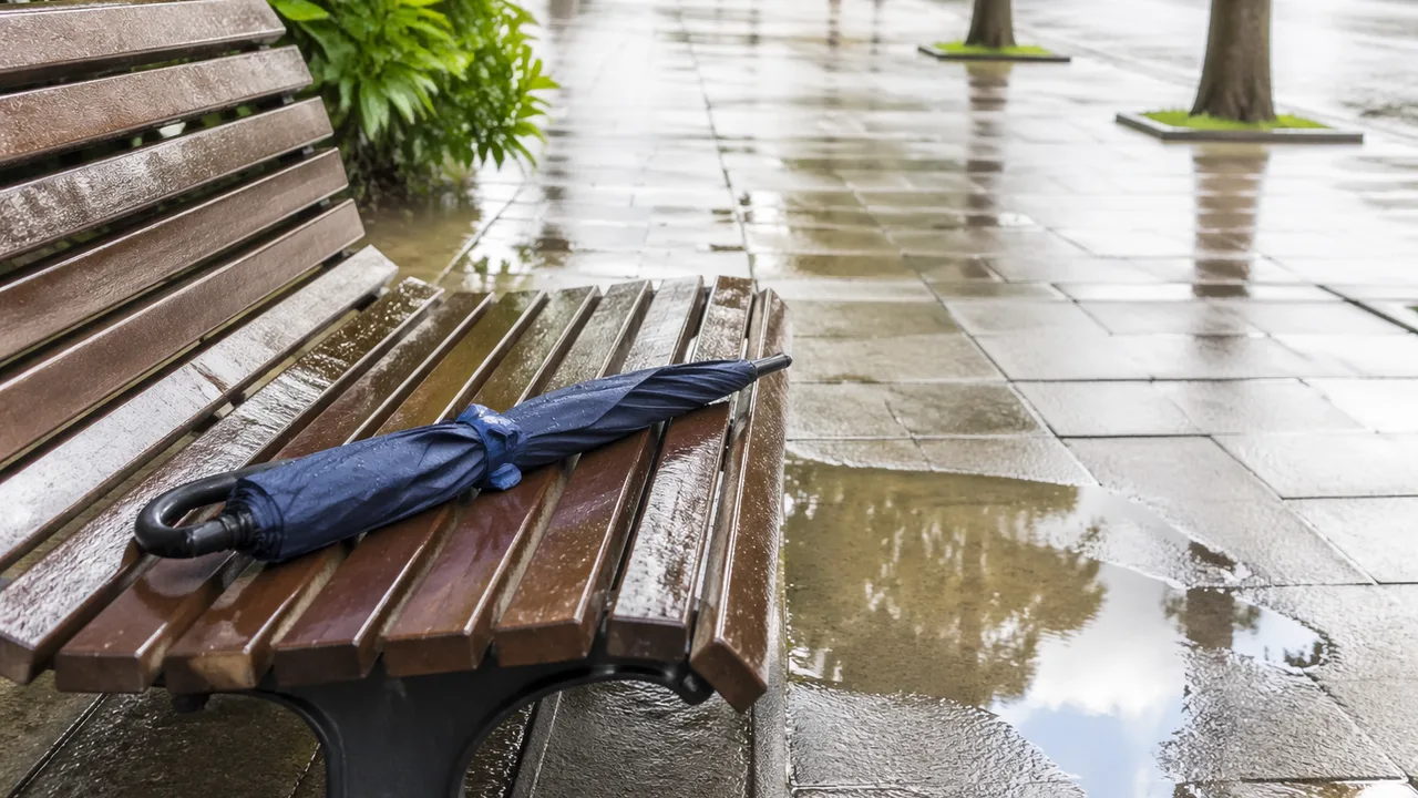 産総研、傘を忘れた日に限って降る現象を量子もつれで説明