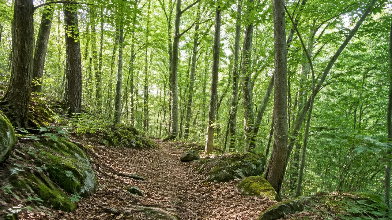 Netflix、視聴者が生成したAI画像のクマが脱走した件で第2シーズン制作を発表、主演は逃走中のまま